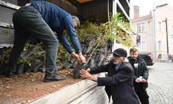 Kuraklığa karşı sumak üretimine özendiriliyor