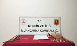 Mersin Çamlıyayla'da Tarihe Neşter Vuranlara Suçüstü