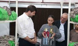 Mersin Tarsus’ta Mantar Sevinci