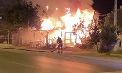 Mersin'de Ahşap Baraka Alevlere Teslim Oldu!