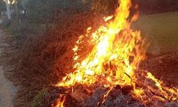 Milas’taki orman yangınları büyümeden söndürüldü