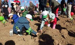 Milli Ağaçlandırma Hareketi: Burdur’da 13 Bin Yeni Nefes