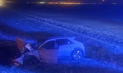 Seyir Halindeki Otomobil Yola Çıkan İneğe Çarptı