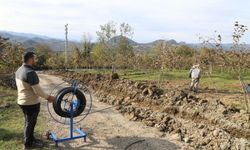 Ordu Fındığında Verim Sıçraması: Damlama Dönemi