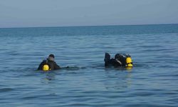 Ordu Kayıp Kadının Cansız Bedeni Deniz Kıyısında Bulundu