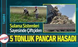 Sulama Sistemleri Sayesinde Çiftçiden 5 Tonluk Pancar Hasadı