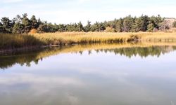 Saklıgöl Kapılarını Açtı: Doğanın Gizli Cenneti Ziyaretçilerini Bekliyor