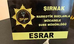 Şırnak’ta Bir Haftada 15 Milyon TL'lik Kaçakçılık Ağlarına Neşter