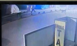 Sokak Köpeğini Vuran Emekli Astsubay Serbest Bırakıldı!