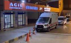 Tartışma Kanlı Bitti: Ağabeyini Öldürdü