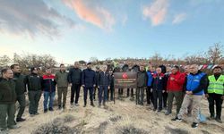 Uçak Kazası Şehitleri Anısına 50 Bin Fidan Toprakla Buluştu