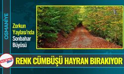 Osmaniye Zorkun da, Büyüleyen Sonbahar Manzaraları