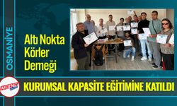 Osmaniye'de Kurumsal Kapasite Eğitimi