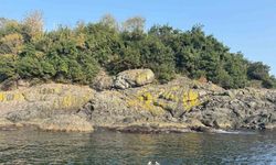 Vali Serdengeçti, Giresun Adası'nın Cazibesine Dikkat Çekti