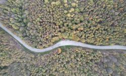 Yalova’da Sonbahar Şöleni: Samanlı Dağları’nda Renk Cümbüşü