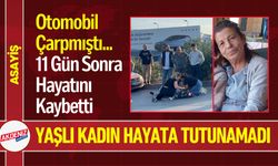 Otomobil Çarpmıştı: 11 Gün Sonra Hayatını Kaybetti