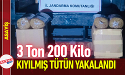 3 Ton 200 Kilo Kıyılmış Tütün Yakalandı!