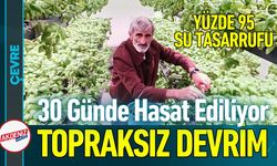 30 Milyonluk Dikey Tarım: Yüzde 95 Su Tasarrufu