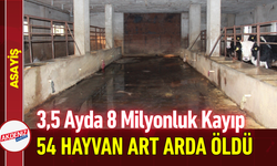 3,5 Ayda 8 Milyonluk Kayıp: 54 Hayvan Art Arda Öldü!