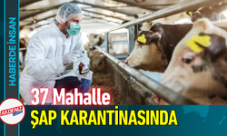 37 Mahalle Şap Karantinasında!