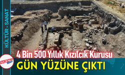 4 Bin 500 Yıllık Kızılcık Kurusu Gün Yüzüne Çıktı!