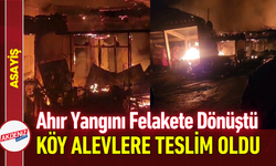 Ahır Yangını Felakete Dönüştü: Köy Alevlere Teslim Oldu!