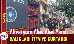 Akvaryum Alev Alev Yandı Balıkları İtfaiye Kurtardı!