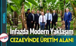 Anamur Ceza İnfaz Kurumu'nda Rehabilitasyon Dönemi