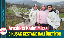 Arıcılıkta Kadın Mirası: 3 Kuşak Kestane Balı Üretiyor!