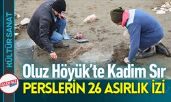 Arkeolojik Kazıda 2 Bin 600 Yıllık Tandır Keşfi