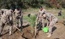 Aydın’da 33 Şehit Polis İçin 333 Fidan Dikildi