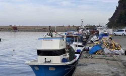 Balıkçılık Sezonu Hayal Kırıklığı: Hamsi Var Çeşit Yok