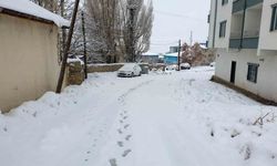 Başkale'de Yoğun Kar Yağışı: İlçe Beyaza Büründü