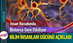 Binlerce Geni Etkiliyor! Bilim İnsanları Gücünü Açıkladı