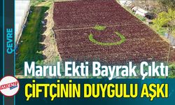 Çiftçiler 1,5 Dönüme 13 Bin Fidanla Tarlaya Türk Bayrağı