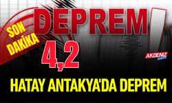 AFAD Açıkladı: Hatay'da 4.2 Büyüklüğündeki Deprem