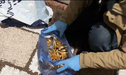 Dev Kuyumcu Operasyonu: 2 Kilo 770 Gram Altın