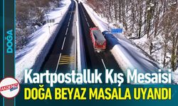 Bolu Dağı'nda Doğa Beyaz Bir Masala Uyandı