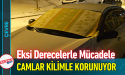 Eksi Derecelerle Mücadele: Camlar Kilimle Korunuyor!