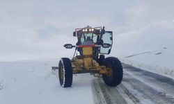 Eleşkirt’te Kar Engeli Kalktı: 10 Köy Yolu Açıldı