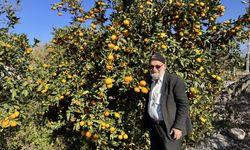 "Elmacı Dede"den Mehmetçiğe Mandalina Sürprizi