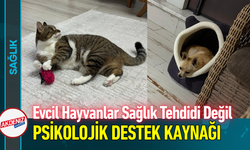 Evcil Hayvanlar Tehdit Değil, Psikolojik Destek Kaynağı