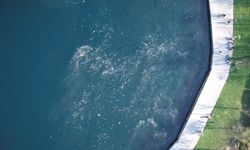 Fatih Balat Sahili Kirliliğe Teslim