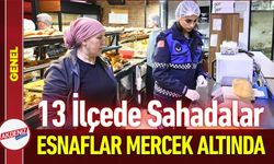 Gıda Güvenliği Seferberliği: 13 İlçede Sahadalar