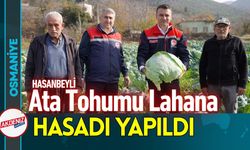 Osmaniye Hasanbeyli’de Ata Tohumu Lahananın Hasadı Yapıldı