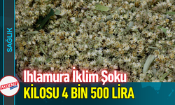 Ihlamura İklim Şoku: Kilosu 4 Bin 500 Lira!
