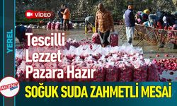 Kadirli Turpu İçin Çiftçiler Buz Gibi Mücadele Vediyor