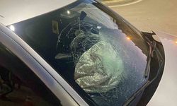 Hürriyet Mahallesi'nde Trafik Kazası Paniği