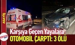 Karşıya Geçen Yayalara Otomobil Çarptı: 3 Ölü!