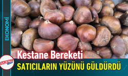 Kestane Bereketi Satıcıların Yüzünü Güldürdü!